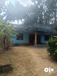 House in chettikulangara-kayamkulam Road