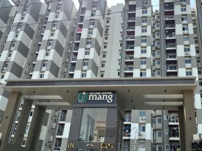Immediate sale of newly constructed flat in Lokhra - Umang Golden wood