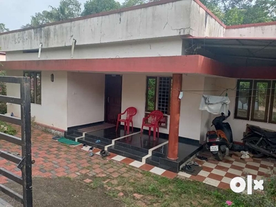 Old House for Sale at Kodinattukunnu (Thrikkodithanam)