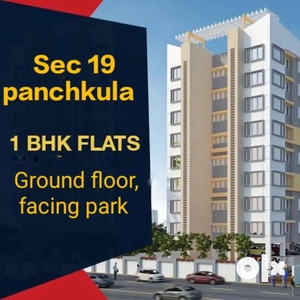 One bhk flat ground floor sale