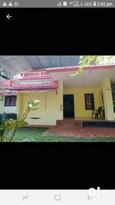 sale of house in 13 cent land with 46cent paddyfield