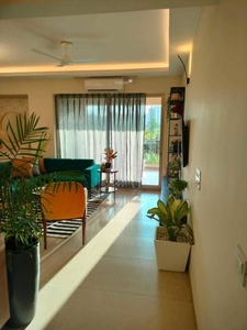 1845 sq ft 3 BHK Apartment for sale at Rs 2.63 crore in Ashiana Amarah Phase 2 in Sector 93, Gurgaon