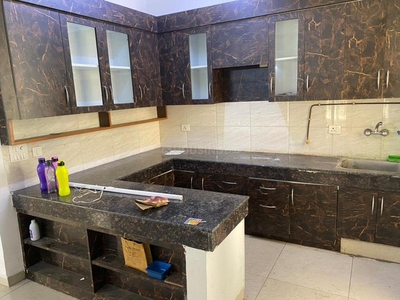 4 BHK Flat for rent in Noida Extension, Greater Noida - 1960 Sqft