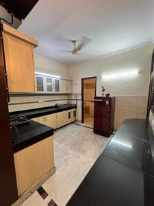 4 BHK Flat for rent in Sector 50, Noida - 2450 Sqft