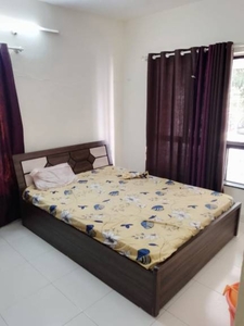 1000 sq ft 2 BHK 2T East facing Apartment for sale at Rs 84.00 lacs in Gulmohar City in Kharadi, Pune
