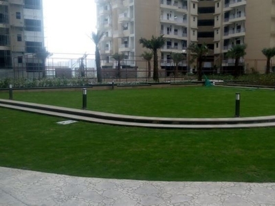 1115 sq ft 3 BHK 2T Apartment for rent in Ajnara Daffodil at Sector 137, Noida by Agent SATYA REAL ESTATE