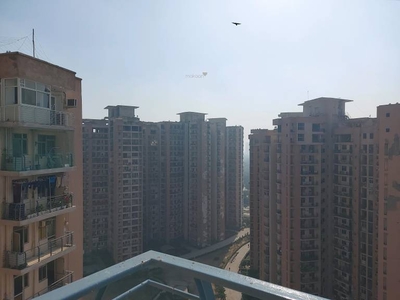 1172 sq ft 2 BHK 2T Apartment for rent in Amrapali Pan Oasis at Sector 70, Noida by Agent prob realtors private limited