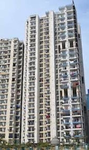 1775 sq ft 3 BHK 4T Apartment for sale at Rs 100.00 lacs in Amrapali Platinum in Sector 119, Noida