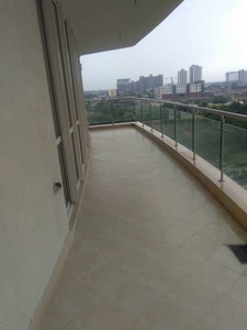 2590 sq ft 3 BHK 3T Completed property Apartment for sale at Rs 7.39 crore in Pioneer Park Presidia in Sector 62, Gurgaon