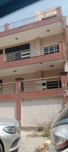 3000 sq ft 6 BHK 6T East facing IndependentHouse for sale at Rs 4.25 crore in Project in Sector 46, Noida