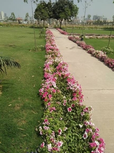 3150 sq ft Completed property Plot for sale at Rs 5.36 crore in Emaar Emerald Hills Exclusive Plots in Sector 65, Gurgaon