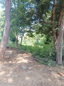 4100 sq ft Plot for sale at Rs 1.50 crore in Reputed Builder Woods Ville in Moshi, Pune