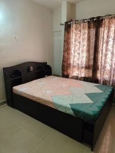 545 sq ft 1 BHK 1T Apartment for rent in Paranjape Blue Ridge at Hinjewadi, Pune by Agent Market Ginie