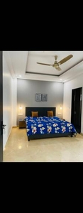 550 sq ft 1RK 1T Apartment for rent in DLF Phase 3 at Sector 24, Gurgaon by Agent JC PROPETIES
