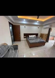 580 sq ft 1RK 1T Apartment for rent in DLF Phase 3 at Sector 24, Gurgaon by Agent JC PROPETIES