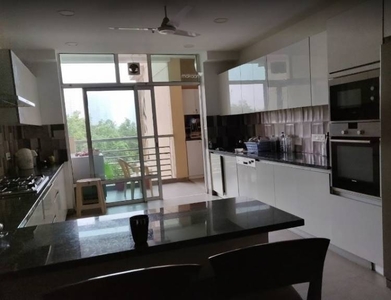 6000 sq ft 4 BHK Apartment for sale at Rs 28.32 crore in DLF The Aralias in Sector 42, Gurgaon