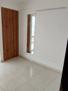 700 sq ft 2 BHK 2T Apartment for rent in Signature Global Andour Heights at Sector 71, Gurgaon by Agent Sky India Realty