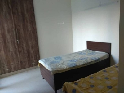 850 sq ft 2 BHK 2T Apartment for rent in Project at Sector 151, Noida by Agent seller