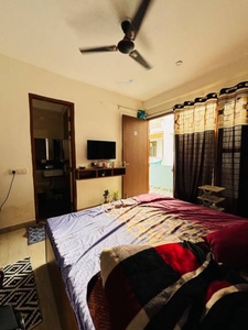 900 sq ft 1RK 1T BuilderFloor for rent in Project at Sector 40, Gurgaon by Agent Shobha Homes