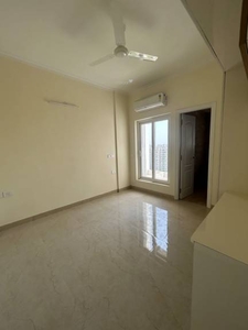 1136 sq ft 3 BHK 1T Apartment for rent in Tulip Orange at Sector 70, Gurgaon by Agent Royal Property