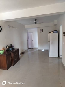 2250 sq ft 3 BHK 3T BuilderFloor for rent in DLF DLF Garden City at Sector 91, Gurgaon by Agent Prestine Real Estate