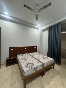 500 sq ft 1RK 1T BuilderFloor for rent in Project at Sector 52, Gurgaon by Agent seller