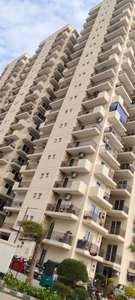 901 sq ft 2 BHK 2T Apartment for rent in Signature Global The Roselia at Sector 95A, Gurgaon by Agent Vikas