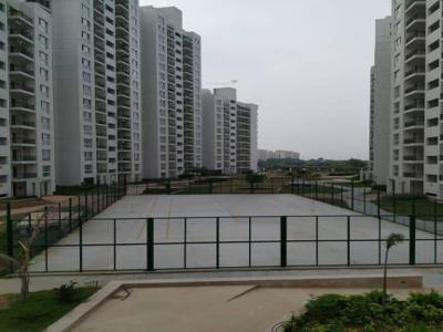 1225 sq ft 2 BHK 2T Apartment for rent in Today Ridge Residency at Sector 135, Noida by Agent Shaw Real Estates