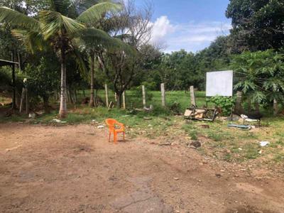 Residential Plot 25 Cent for Sale in Elanthoor, Pathanamthitta