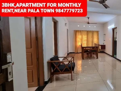 FULLY FURNISHED A/C APARTMENT NEAR PALA TOWN FOR MONTHLY RENT