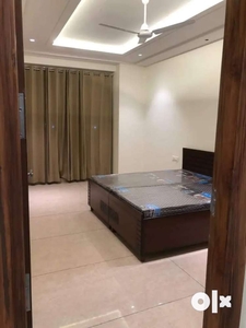 Low Rent Fully Independent 1 Bedroom drawing room Furnished flat CHD