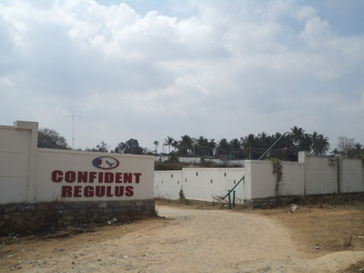 Confident Regulus in Bidadi, Bangalore