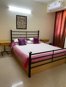 1 BHK Flat for rent in Hinjawadi Phase 3, Pune - 750 Sqft