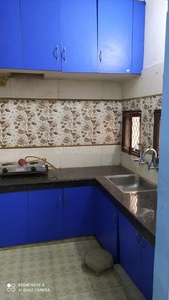 1 BHK Flat for rent in Mayur Vihar Phase 1, New Delhi - 550 Sqft