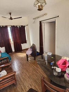 1 BHK Flat for rent in Viman Nagar, Pune - 750 Sqft