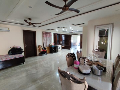 3 BHK Independent Floor for rent in Paschim Vihar, New Delhi - 2700 Sqft