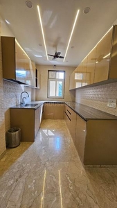 3 BHK Independent Floor for rent in Pitampura, New Delhi - 1000 Sqft