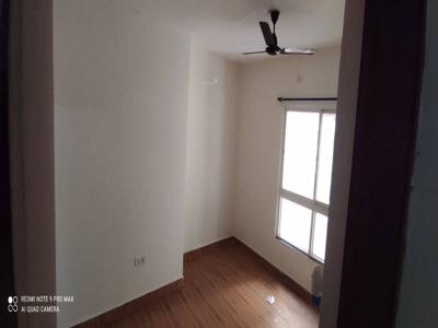 575 sq ft 1 BHK 2T Apartment for rent in DB Ozone at Dahisar, Mumbai by Agent user2316