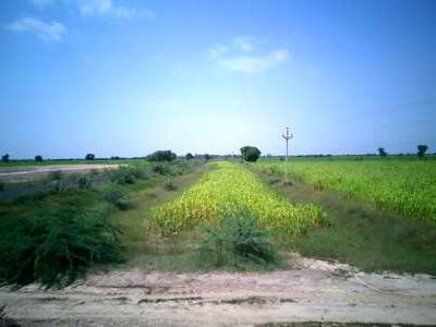 Residential Land For SALE 5 mins from Changodar