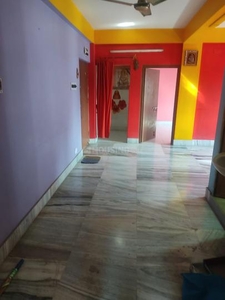 2 BHK Flat for rent in Pansila, Kolkata - 780 Sqft