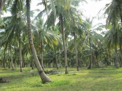 land for sale in goa For Sale India
