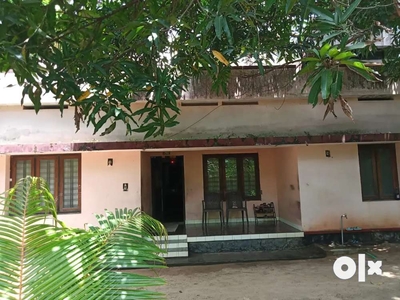 16.5centplot & house 1200sq ft for sale Thrissur thalikulam