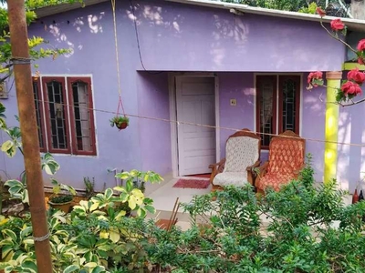 32 cent Cardamom planatation property to sell.