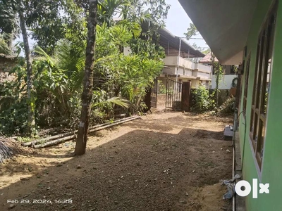 6.25 cent house. For sale, Place Mampuzhakary, Alappuzha
