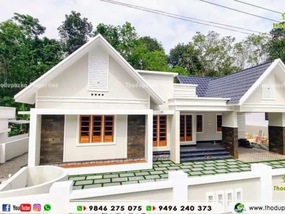 New Beautiful 4 bedroom Home near Thodupuzha ( Vazhakulam)