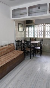 1 BHK Flat for rent in Santacruz East, Mumbai - 563 Sqft