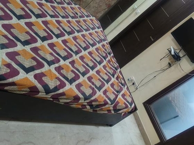2 Bedroom 904 Sq.Ft. Builder Floor in Lajpat Nagar Iii Delhi