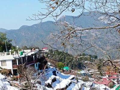 240 Sq.Yd. Plot in Mukteshwar Nainital