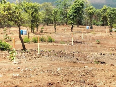 Agriculture Farm House Plot At Konkan