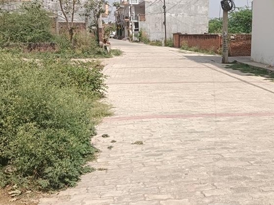 Ambedkar University Near Pushpendra Nagar Shahid Path Se 800 Mitar Corner Plot